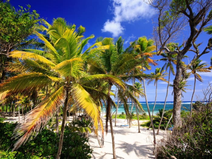 Sailing holidays in Martinique
