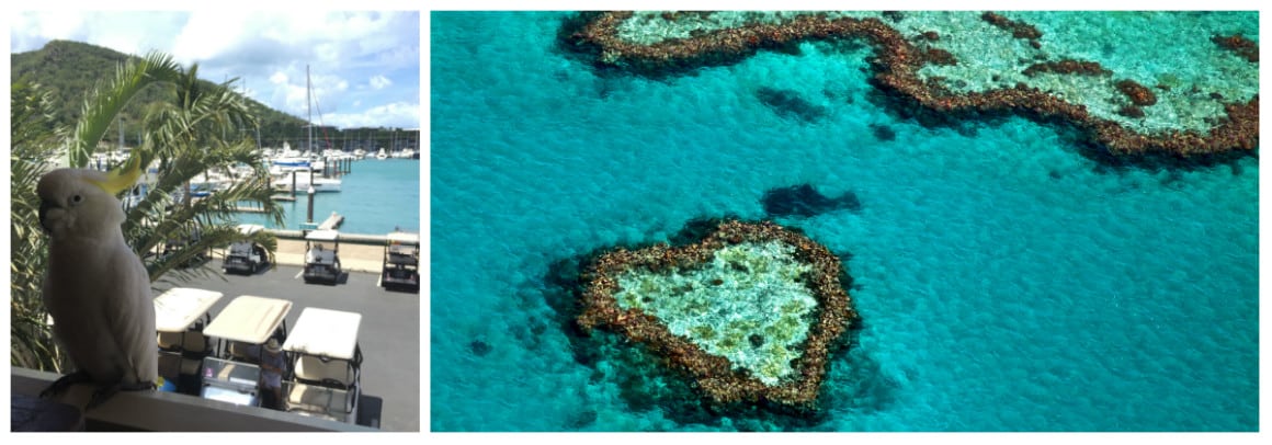 Whitsundays 1 week sailing holiday itinerary