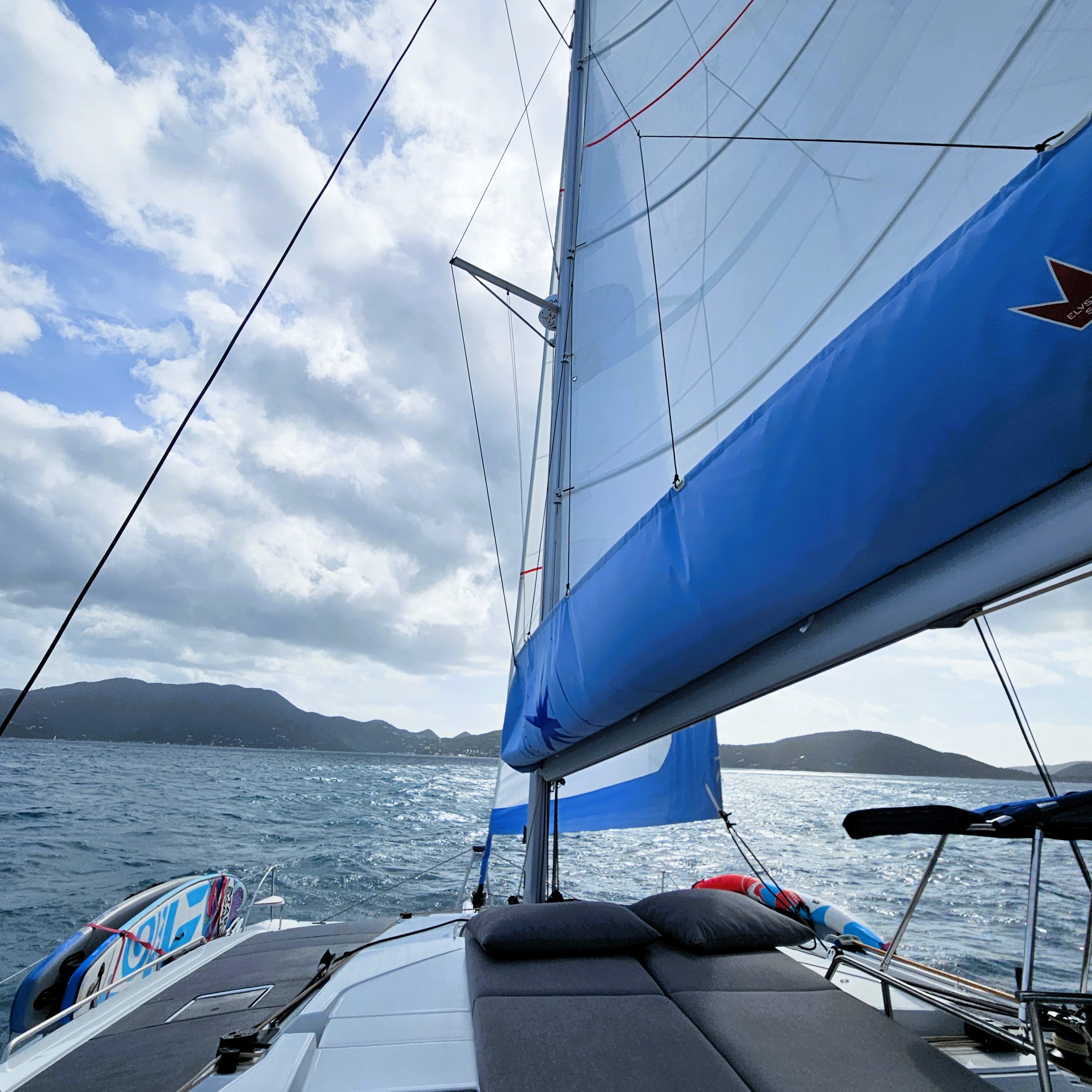 BVi Birthday