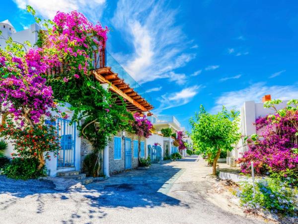 A street view in Bodrum 