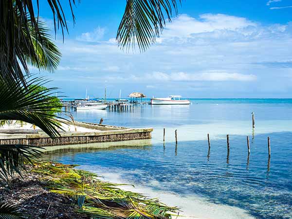 Blue water beach with palm trees in Caye Caulker, Belize