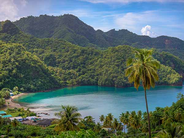 Sea and palm trees in Saint Vincent and the Grenadines, beautiful exotic paradise with mountains and beautiful perfect beaches and colorful turquoise and emerald colored water