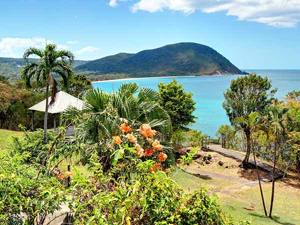 Guadeloupe Deshaies on the beach of Grande Anse.