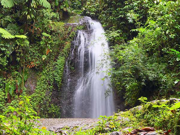 cascade du saut du gendarme, martinique, caribbean