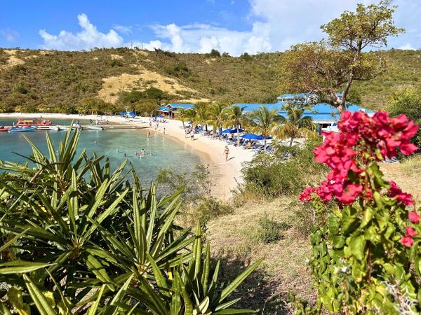 Pirate's Bight Norman Island bar and restaurant visible through lush green foliage framed by the sea and pink flowers.