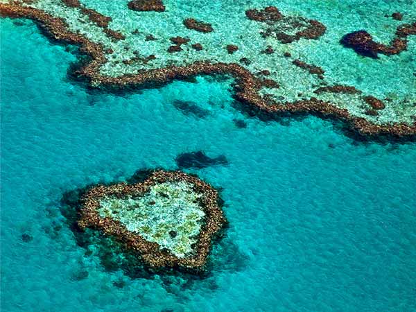 Great Barrier Reef Australia